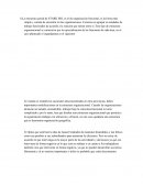 Analisis de la empresa stark