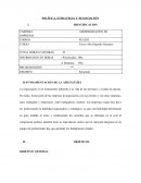 POLÍTICA, ESTRATEGIA Y NEGOCIACIÓN