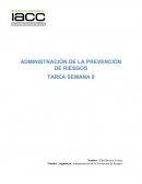 Tarea 8 Administracion de la prevencion de riesgos