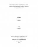 SISTEMA DE DISTRIBUCIÓN DEL PRODUCTO O SERVICIO “GRANJEEL NATURAL HAIR”