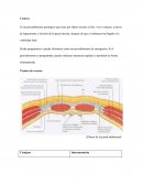 Enfermeria , manual de enfermeria quirurguica