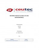 INFORME FINAL SOBRE EL ANALSIS DE UNA MICROEMPRESA