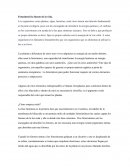 Fotosintesis la fuente de la vida