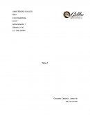 Tarea 1 Administración 1