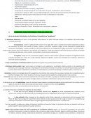 HISTORIA SIGLO XX. PANORAMA ARQUITECTONICO A FINES DEL SIGLO XIX