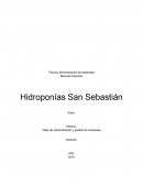 Mención finanzas Hidroponías San Sebastián
