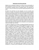 PROCESO DE SOCIALIZACION