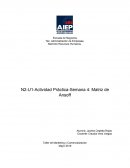 Práctica-Semana 4: Matriz de Ansoff