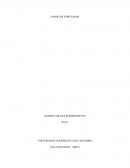 CONTABILIDAD DEL SECTOR SOLIDARIO TALLER FONDO DE EMPLEADOS