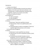 Cuestionario ¿Qué son las lentes?