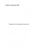 Elaboración de Presupuestos Presumar Ltda