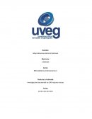 Investigación documental las 100 mejores marcas