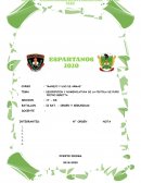 DESCRIPCION Y NOMENCLATURA DE LA PISTOLA DE PUÑO