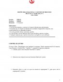 PC2 de Diseño Organizacional