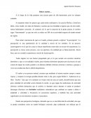 Ensayo sobre el sueño