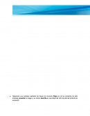 DISEÑO DE MARCAS Y PRODUCTOS-DISEÑO DE PRODUCTO FASE 2