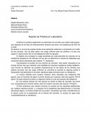 Reporte de Práctica en Laboratorio