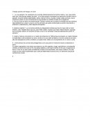 Trabajo práctico de lengua: el túnel