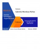 Identificación de conflictos por categorías