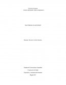 UN SEÑOR MUY VIEJO CON LAS ALAS ENORMES