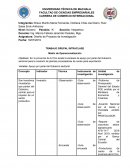 Matriz de operacionalizacion