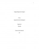 Angustia de Soren Kierkegaard