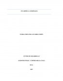 ENSAYO PANADERÍA LA ESMERALDA