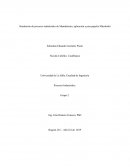 Simulación de procesos industriales de Manufactura, aplicación a pisa papeles Mitsubishi