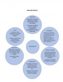 ANALISIS PESTEL empresa NUTRIHEALTY