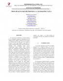 Informe principales parámetros de la calidad del agua