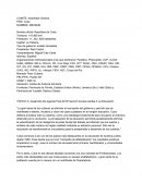 Así es una Posición Oficial tipo ONU