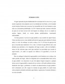 Diseño de red hidraulica