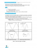 FUNDAMENTOS BÁSICOS DE ECOGRAFÍA