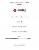 Psicologia organizacional #8