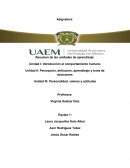 Comportamiento humano en la organización