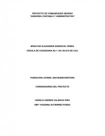 PROYECTO DE COMUNIDADES NEGRAS “ASESORIA CONTABLE Y ADMINISTRATIVA”. Página 1