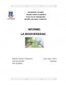 INFORME: LA BIODIVERSIDAD
