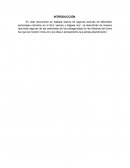 El libro “piense y hágase rico