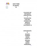 Actividad cerebral. Desercion escolar