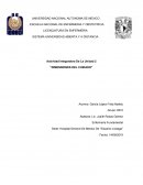 Dimensiones del cuidado. Enfermería Fundamental