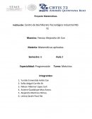 Proyecto Matemáticas