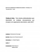 Una mirada problematizadora para desentrañar los múltiples atravesamientos que irrumpen en la organización interviniente: Jardín 2013