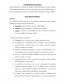 Variedades Dialectales del Español