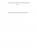 Huerta y agricultura urbana de medios audiovisuales lúdicas