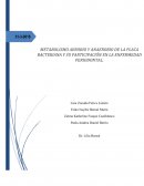 METABOLISMO AEROBIO Y ANAEROBIO DE LA PLACA BACTERIANA