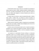 Opciones de Financiamiento Externo