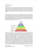 PIRAMIDE DE MASLOW