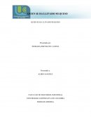 CUESTIONARIO QUIEN SE LLEVO MI QUESO