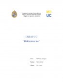 ENSAYO 3 “Daktronics Inc”