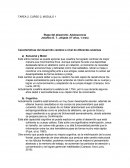 Características del desarrollo cerebral a nivel de diferentes sistemas